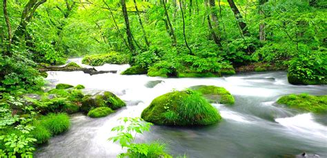 東北之星|旅展特惠【東北夏限定】奧入瀨溪．向日葵山。